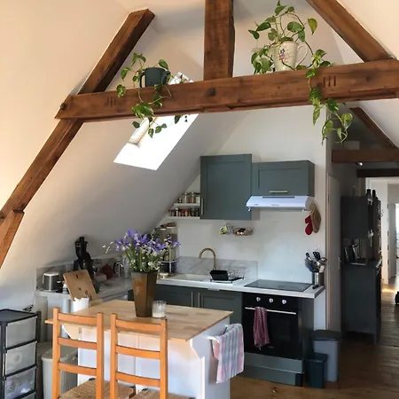 Petite En Centre-ville Oloron-Sainte-Marie